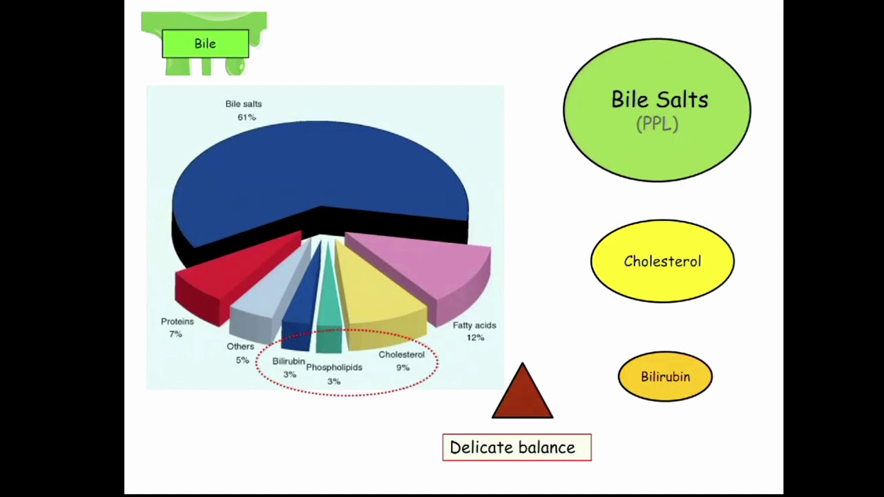 12DaysinMarch, Podcast Series, Bile Metabolism for USMLE Step One