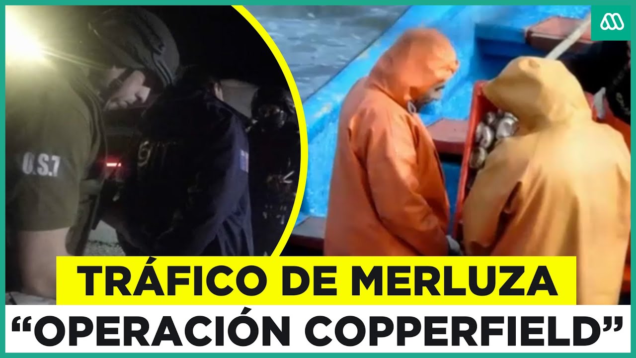 El millonario negocio del tráfico de la merluza: Banda fue capturada tras compleja investigación