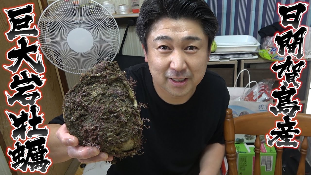 顔よりも大きい？！日間賀の特大の岩牡蠣を
