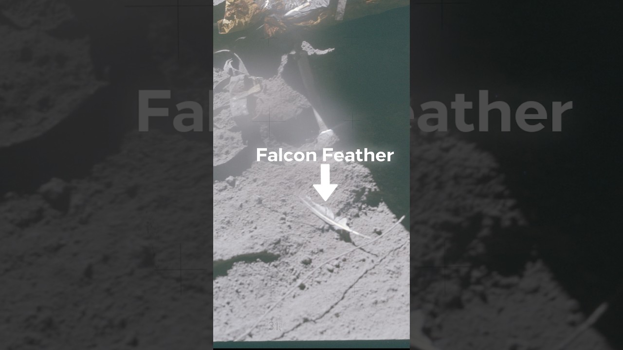 Astronauts left some weird stuff on The Moon!