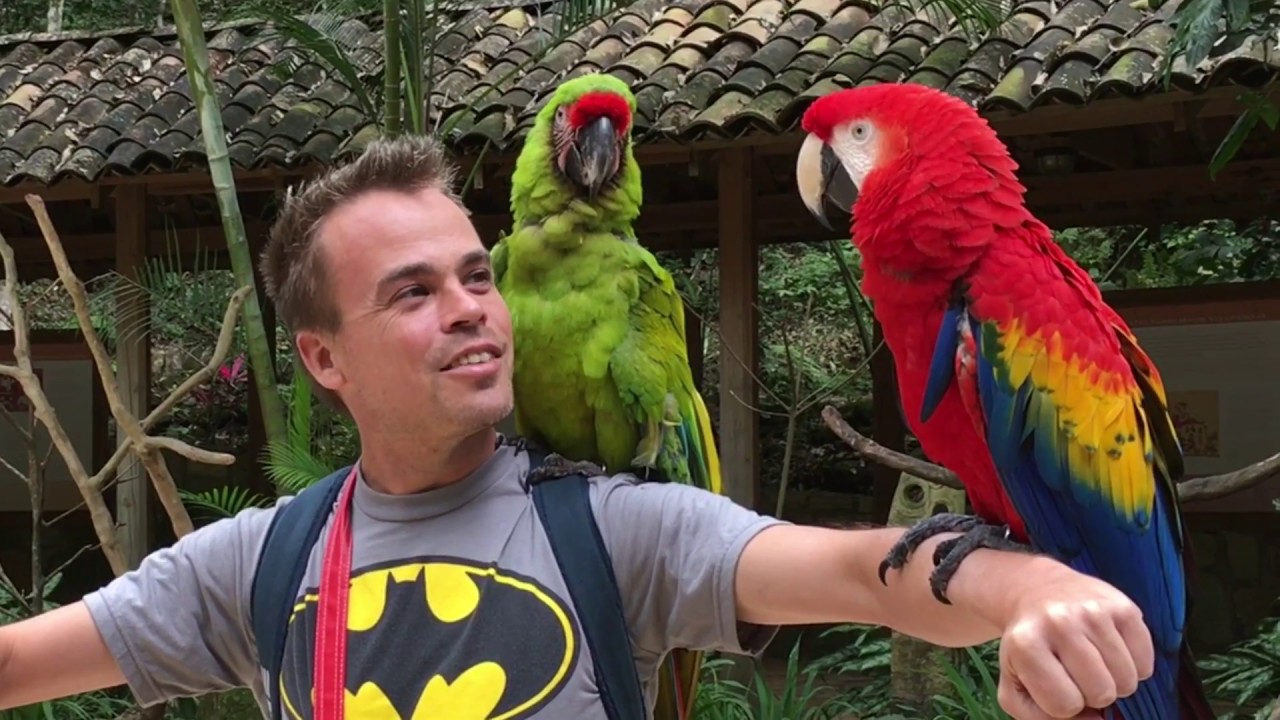 Parque de Aves, Macaw Mountain, Copán, Honduras