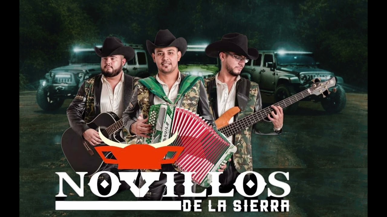 Novillos De La Sierra - Cortinas Guindas