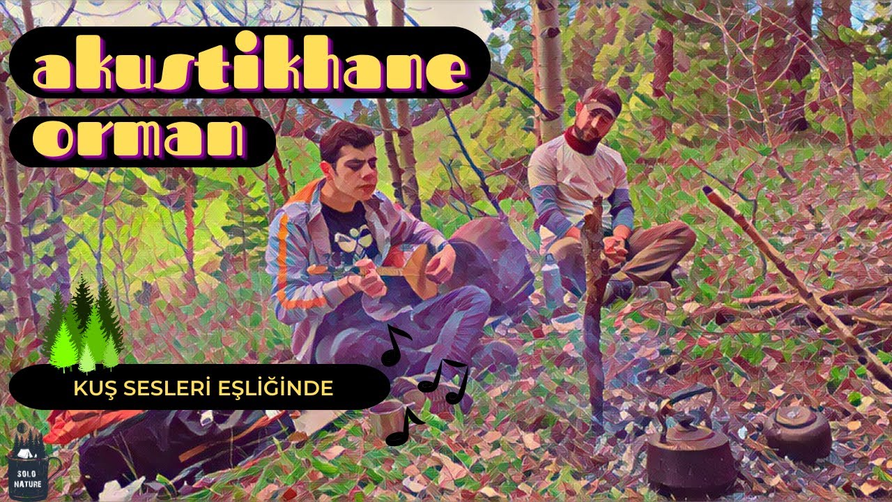 AKUSTİKHANE ORMAN