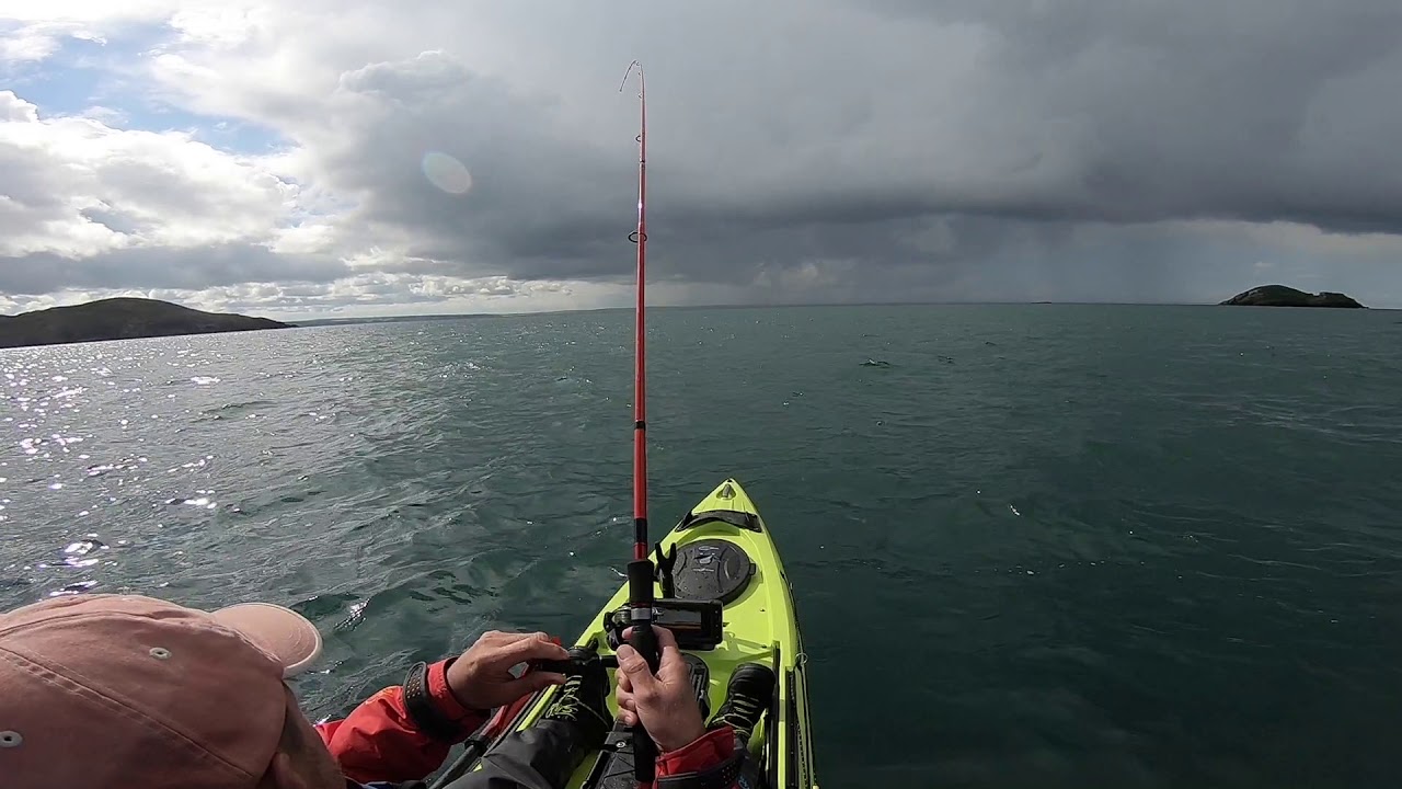 Solva 2019 -   pollock and Bass fishing