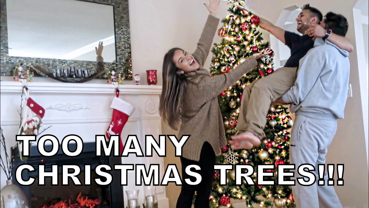 Too Many Christmas Trees!!! - Vlog 44 - TrinaDuhra