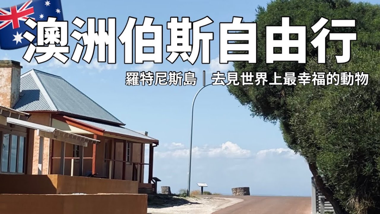 🇦🇺 伯斯的羅特尼斯島去見世界上最幸福的動物｜伯斯必去景點｜澳洲自由行