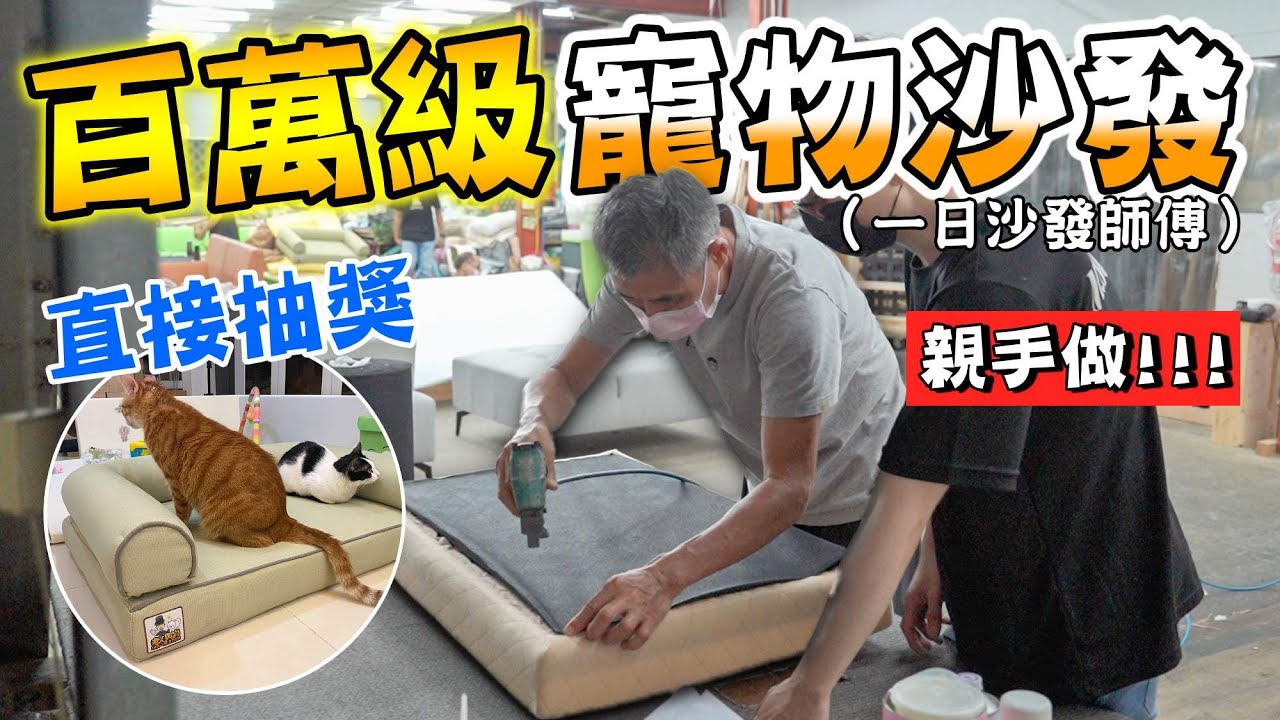 百萬級寵物沙發！老人親手做直接抽獎送大家『一日沙發師傅』Million-level pet sofa