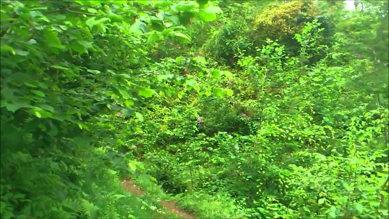 yavuzk&ouml;y.mp4