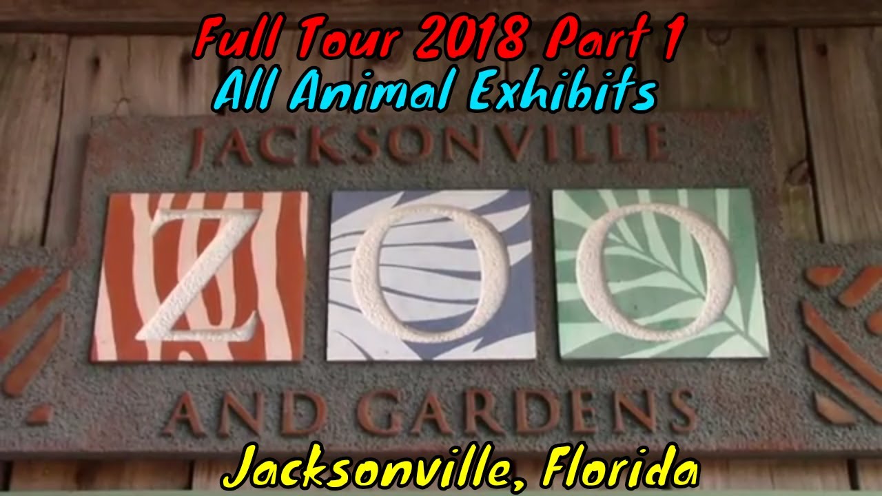 Jacksonville Zoo and Gardens Full Tour Part 1 - Jacksonville, Florida