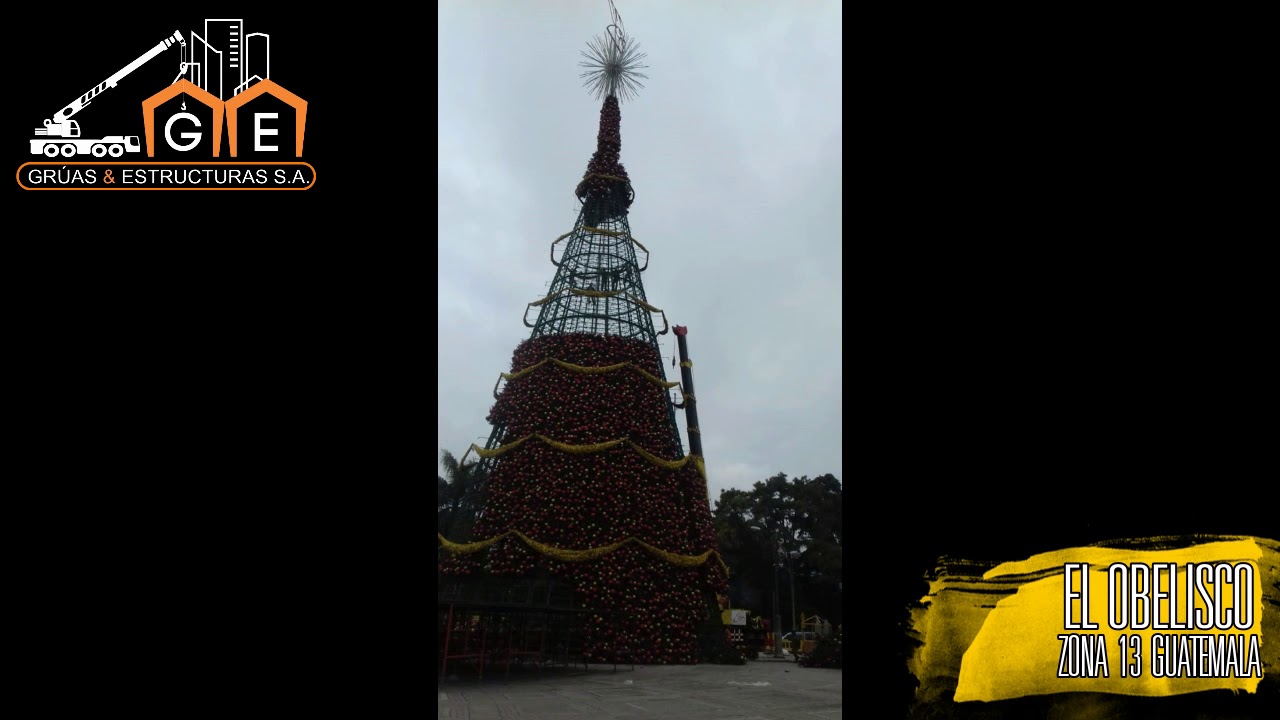 MONTAJE ÁRBOL GALLO 2019