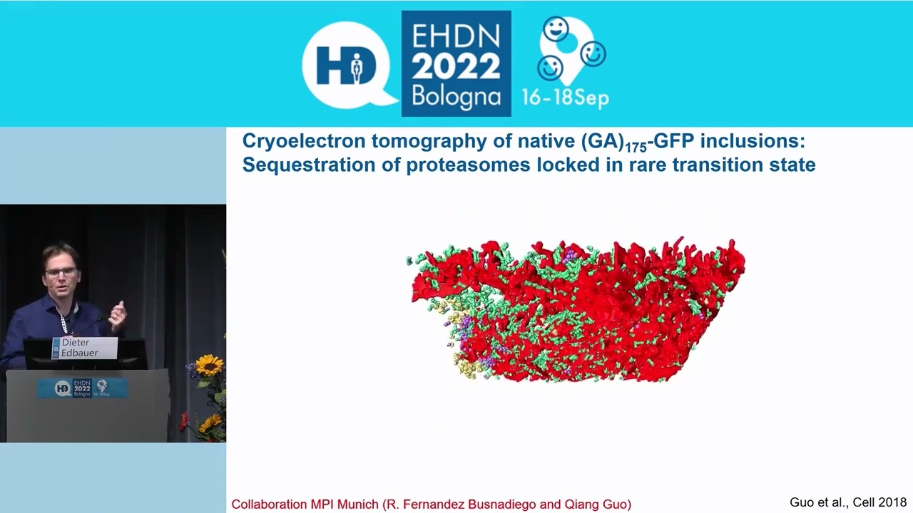 Protein Vaccination to Treat RAN Translation in C9ORF ALS by Dieter Edbauer - EHDN2022 Day 2