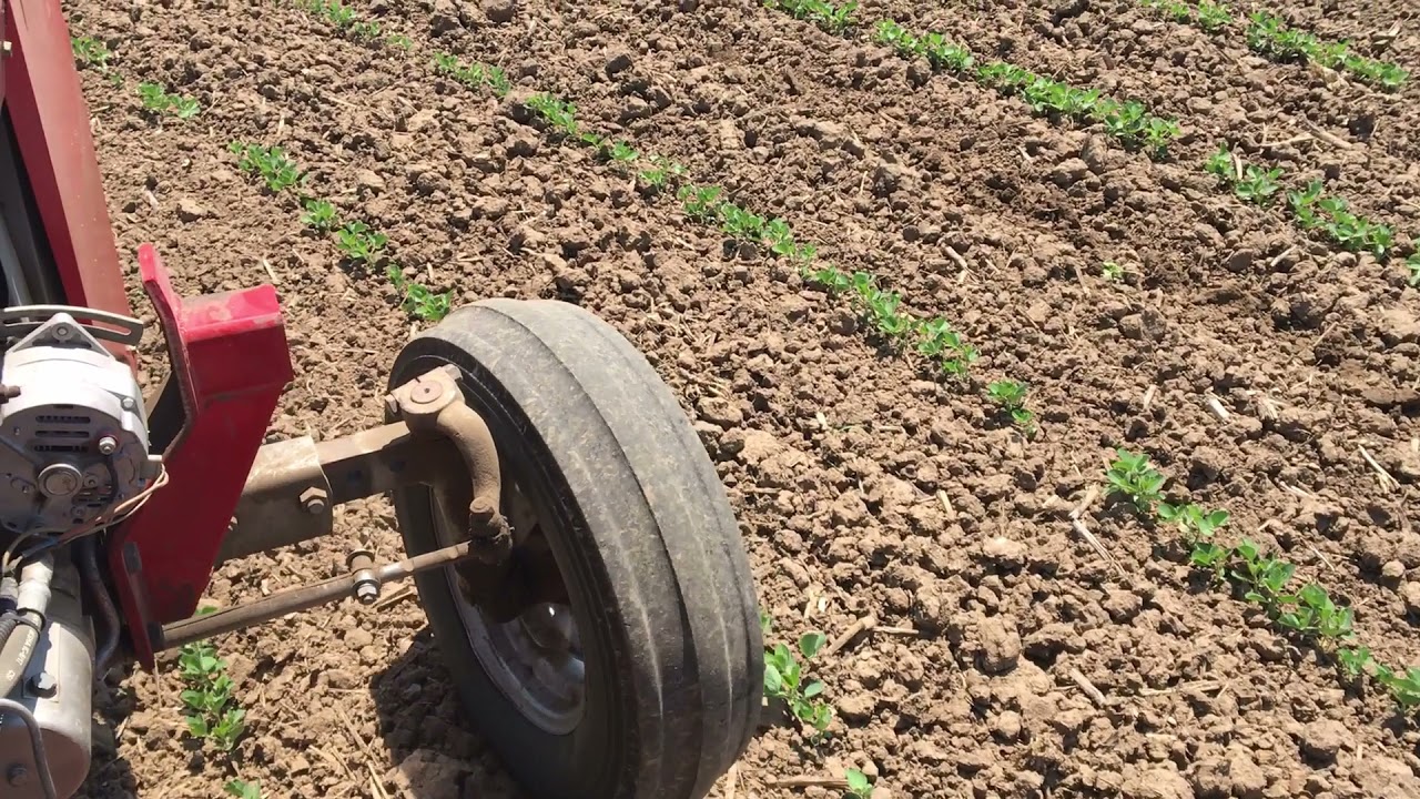 Cultivating Row Crops on a HILL!
