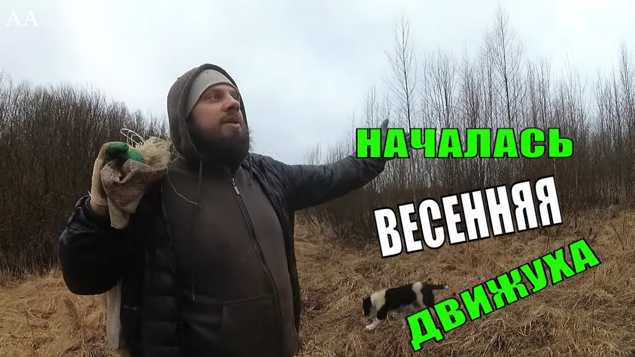 НАЧАЛСЯ СЕЗОН РАБОТЫ. ЭЛЕКТРОПАСТУХ ДЛЯ СВИНЕЙ. ВЕСНА 2020,