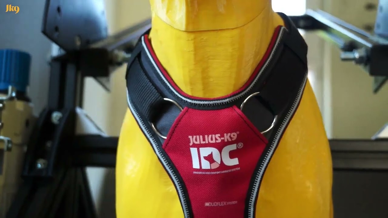 Prueba de resistencia del arn&eacute;s para perros IDC Longwalk