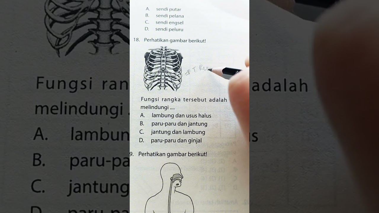 SOAL TKA IPA BIOLOGI