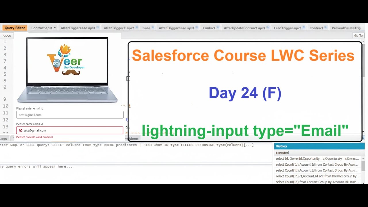 Day 24 (Part F): lightning-input type='email'  Placeholder, Pattern, Validation, Min/Max, Multiple