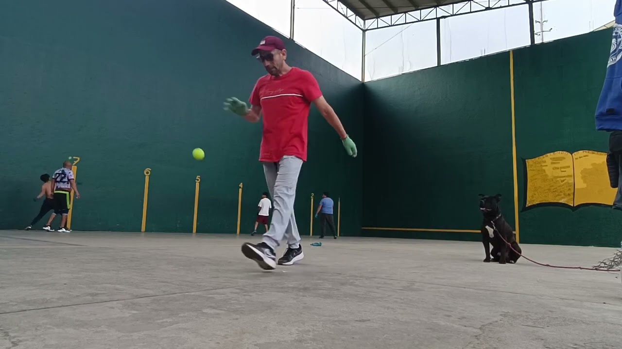 Retitas.