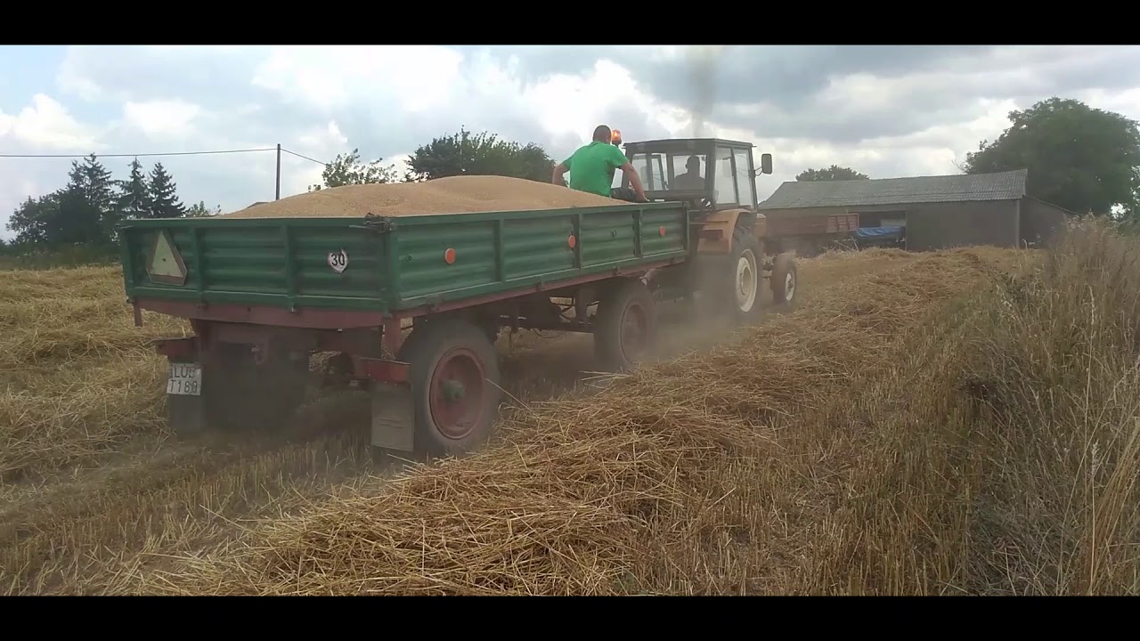 ★Polskie żniwa 2019★ U-R-S-U-S C-360 & BIZON Z056㋡