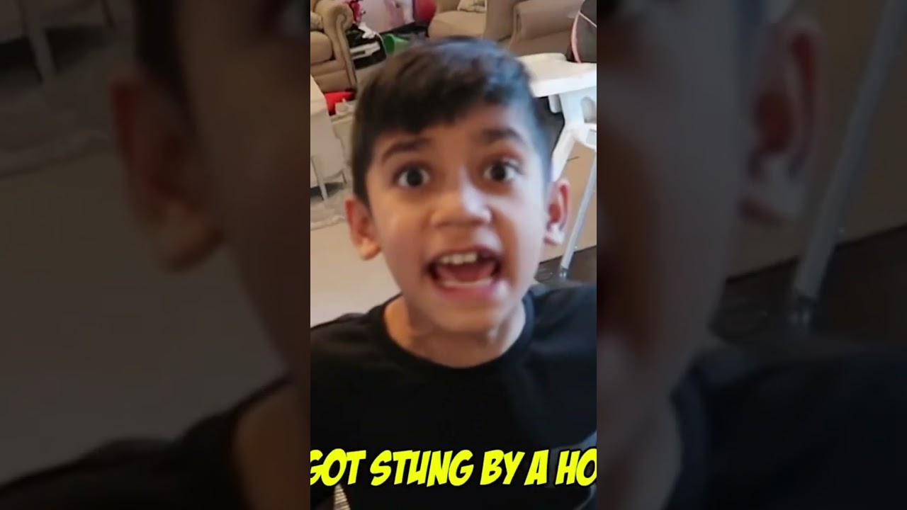 Our Daughter Got STUNG By a Giant HORNET!! 