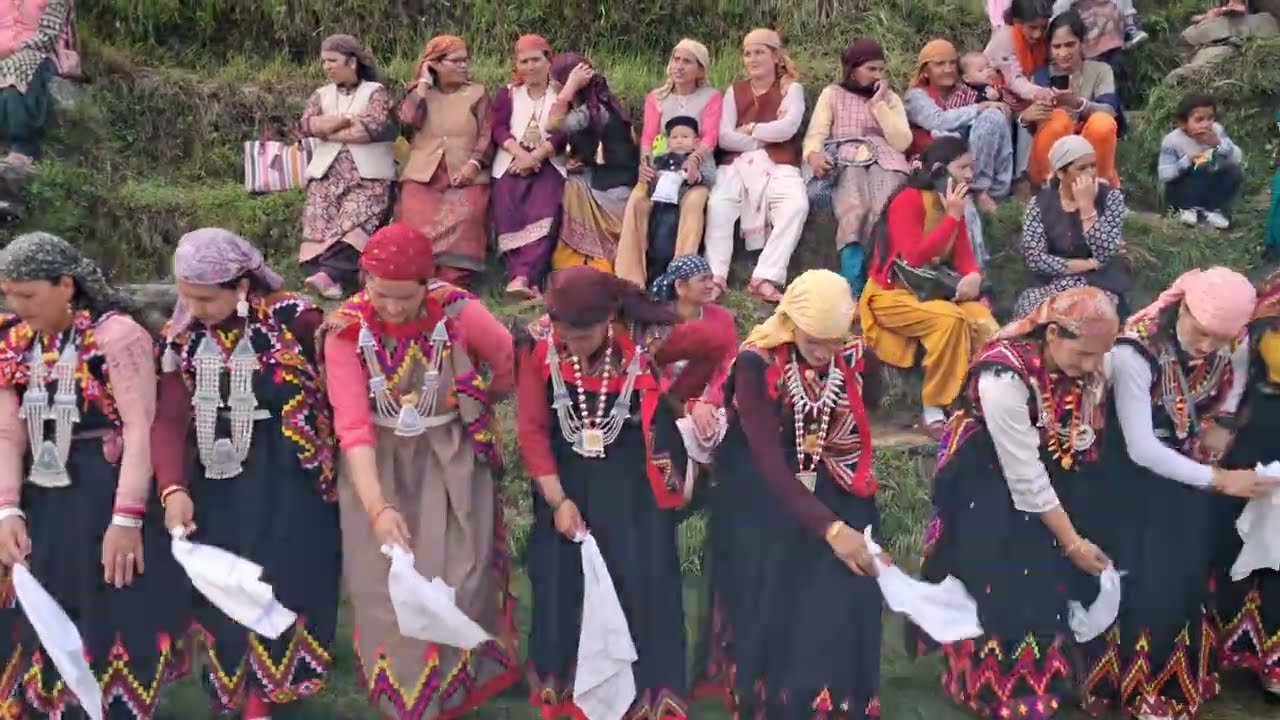 Traditional Kulluvi Nati in Kohila Shalnu | Himachali Folk Dance Celebration