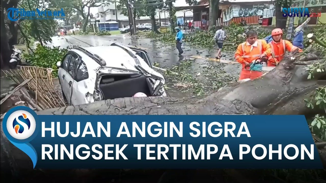 Hujan Angin di Kota Malang, Sigra Ringsek Tertimpa Pohon