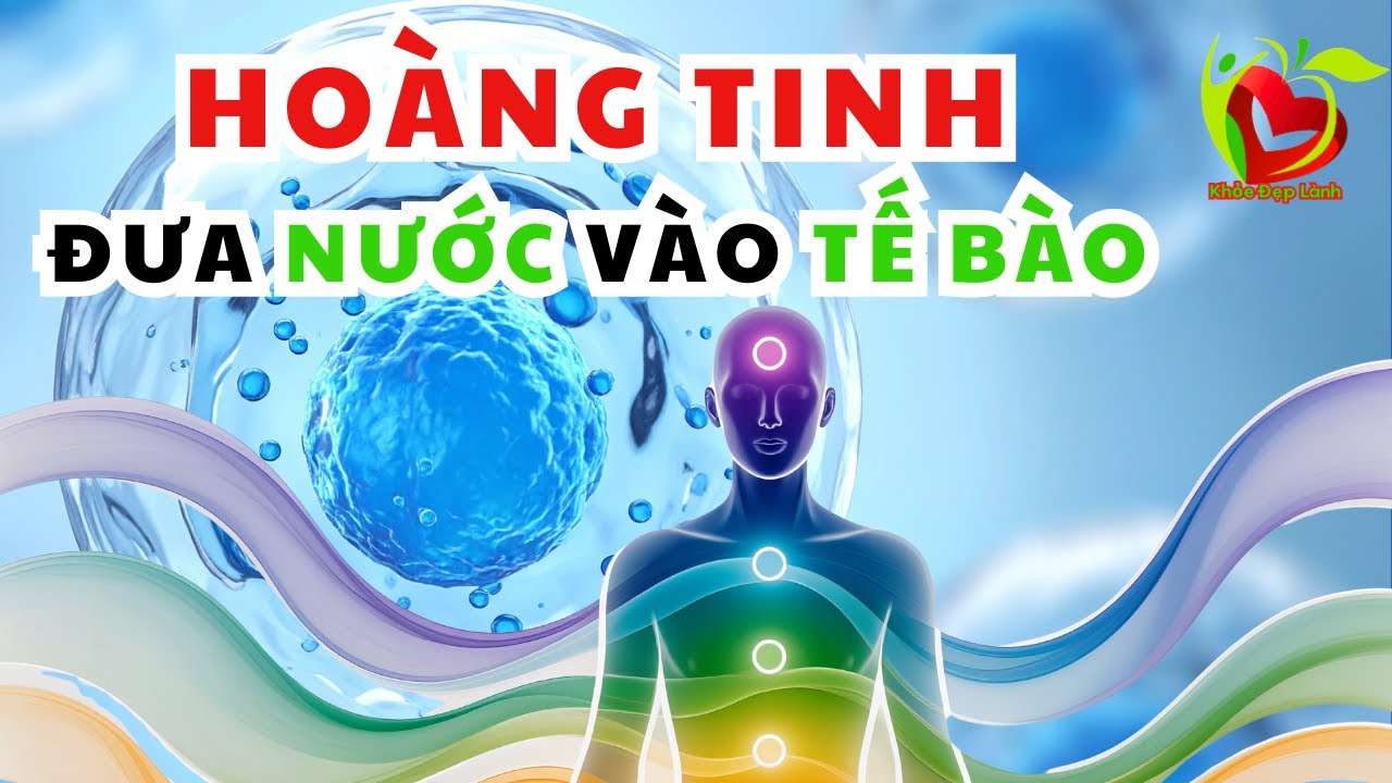 HOÀNG TINH ĐƯA NƯỚC VÀO TẾ BÀO   #thoiquensongkhoe
