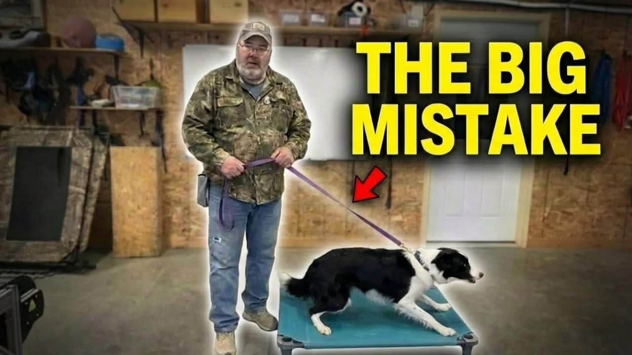 Board & Train Day 1: The Tight Leash Mistake (Pressure On / Pressure Off)