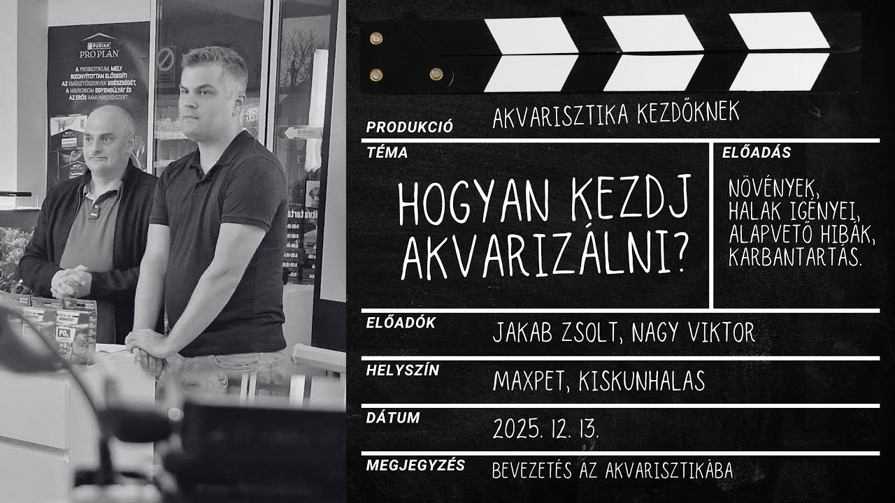 Kiskunhalason jártunk – Akvarisztika kezdőknek előadás a MAXPet-ben