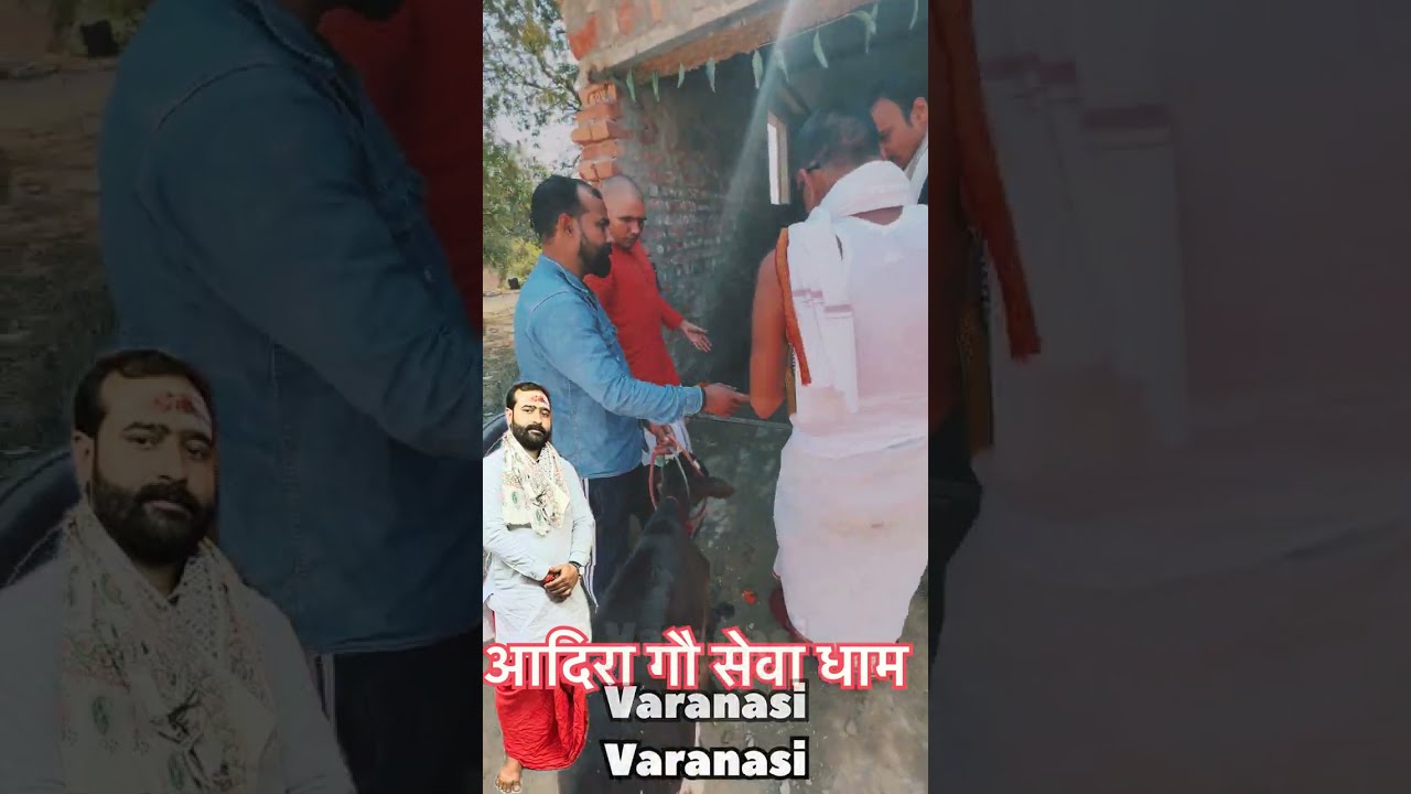 बाबा विश्वनाथ की कृपा से आप सब के आशीर्वाद से हमारा गौ शाला प्रारंभ होगाया #vlog#subscribe#sorts 