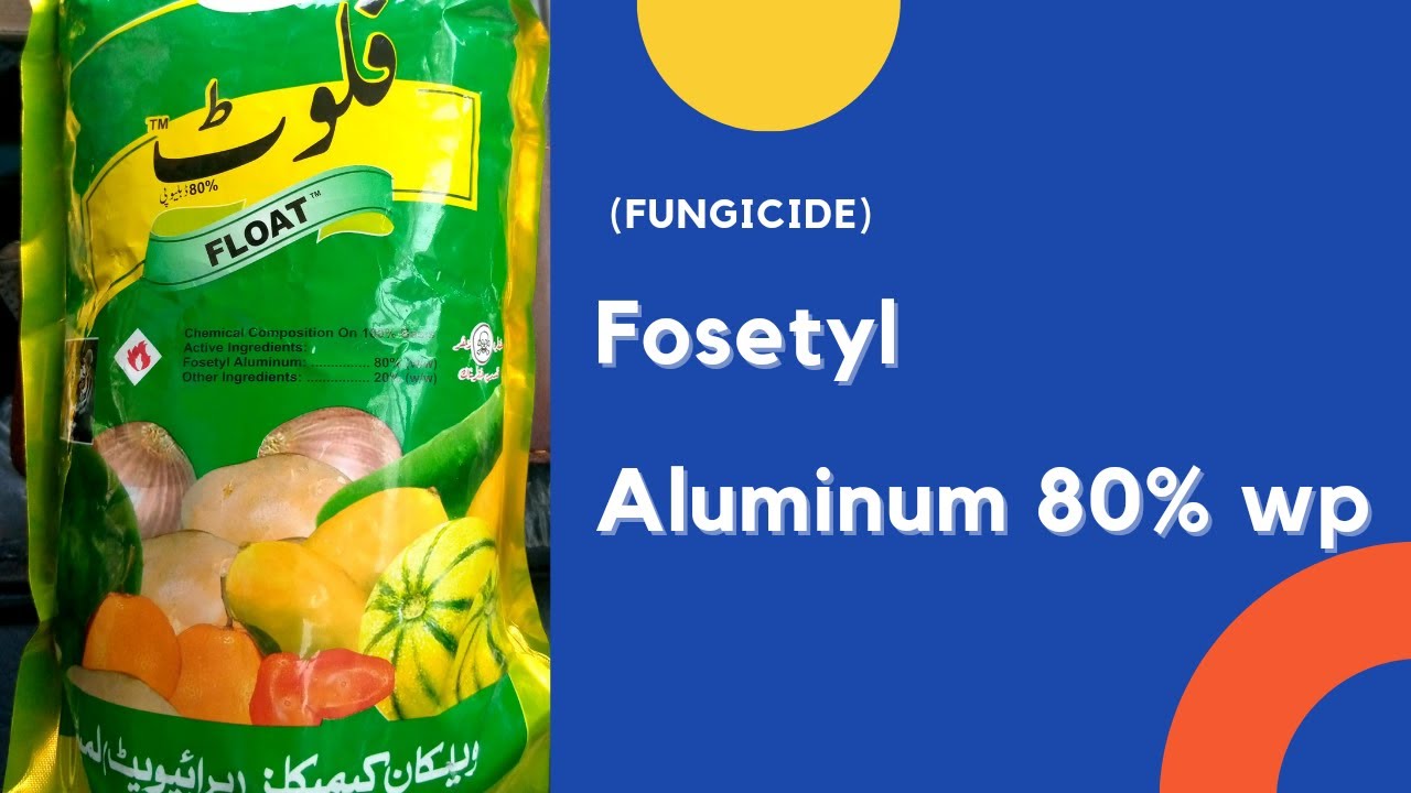 Fosetyl Aluminium 80% wp Fungicide / Uses & Their Mode OF Action ( Urdu / Hindi)