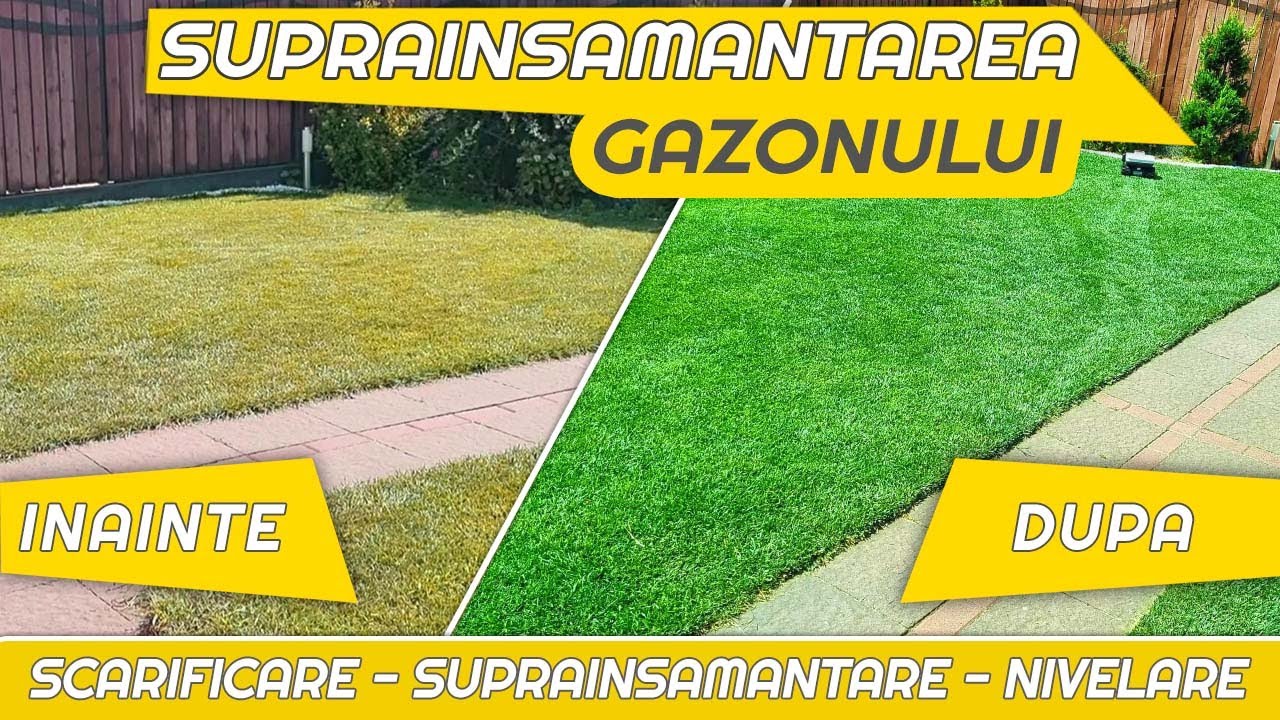 Suprainsamantarea gazonului, scarificare si nivelare - Ghid pas cu pas