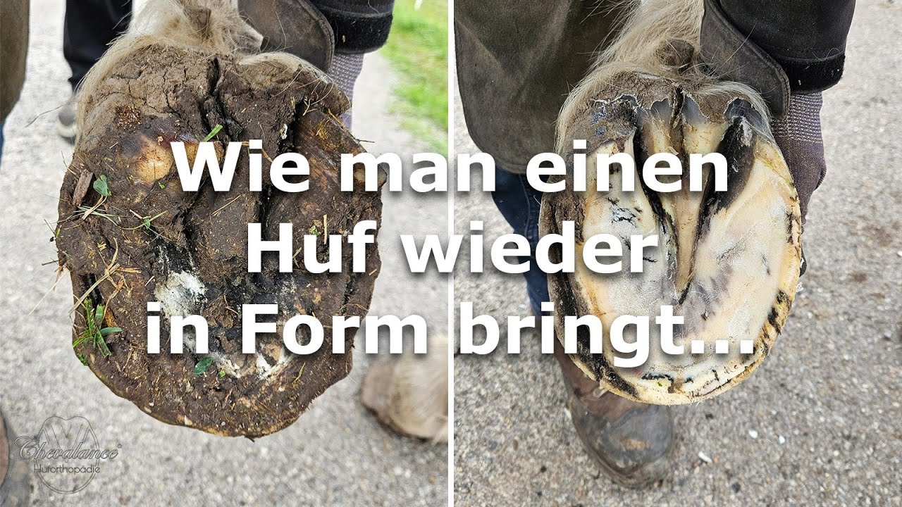 Wie man einen Huf wieder in Form bringt...