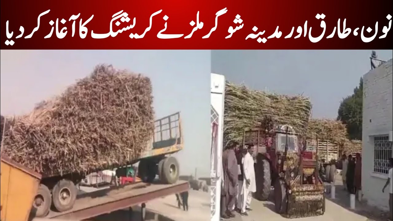 Good News Noon, Tariq & Madina Sugar Mills Begin Crushing Season 2025-2026 | Sugar Industry Update