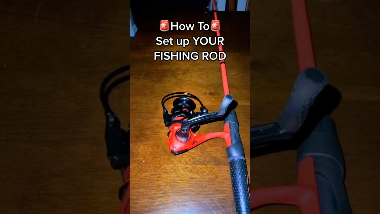 How To Setup a New Fishing Pole‼️