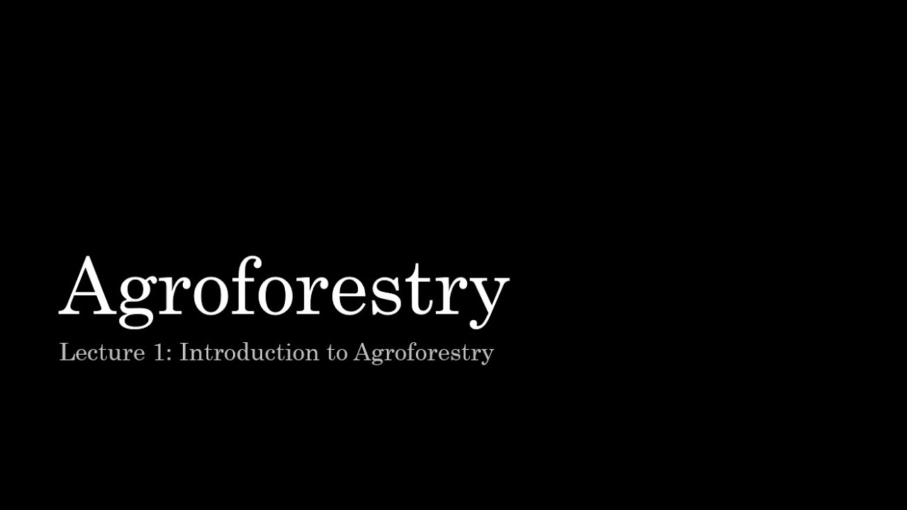 Lecture-1 Introduction to Agroforestry || Forestry Lecture Series|| Forestry Education