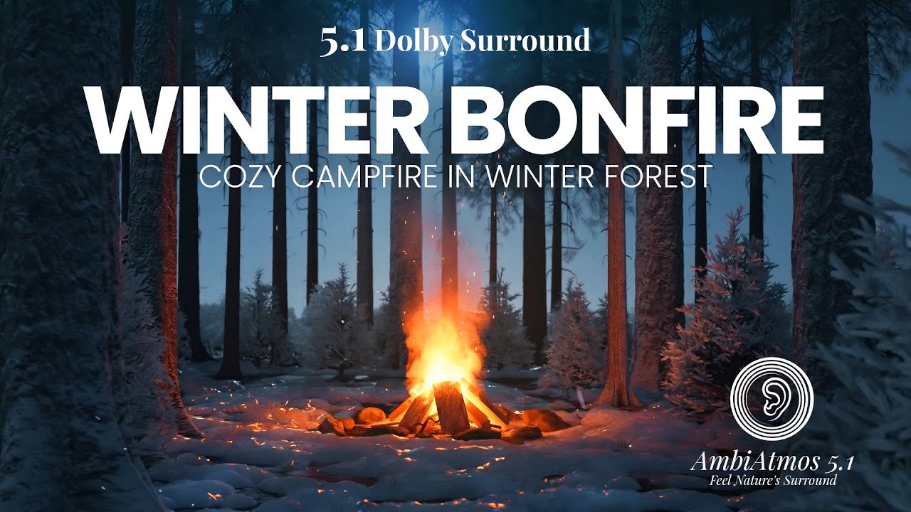 Dark Forest Campfire at Night 🌲 Surround Sound Ambience for Relaxation & Focus 6 Hour long video 4K