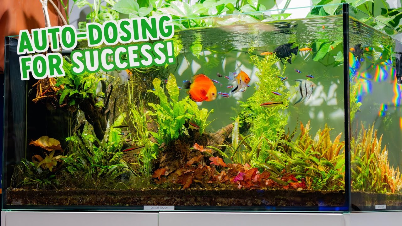 HOW TO SET UP AN AUTO-DOSE SYSTEM TO YOUR AQUARIUM | UNBOX THE AQUAVITRO SENTIA DOSER WITH US