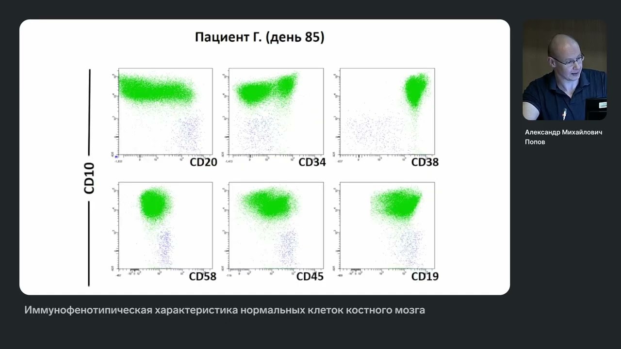 Иммунофенотипическая характеристика нормальных клеток костного мозга. Александр Михайлович Попов