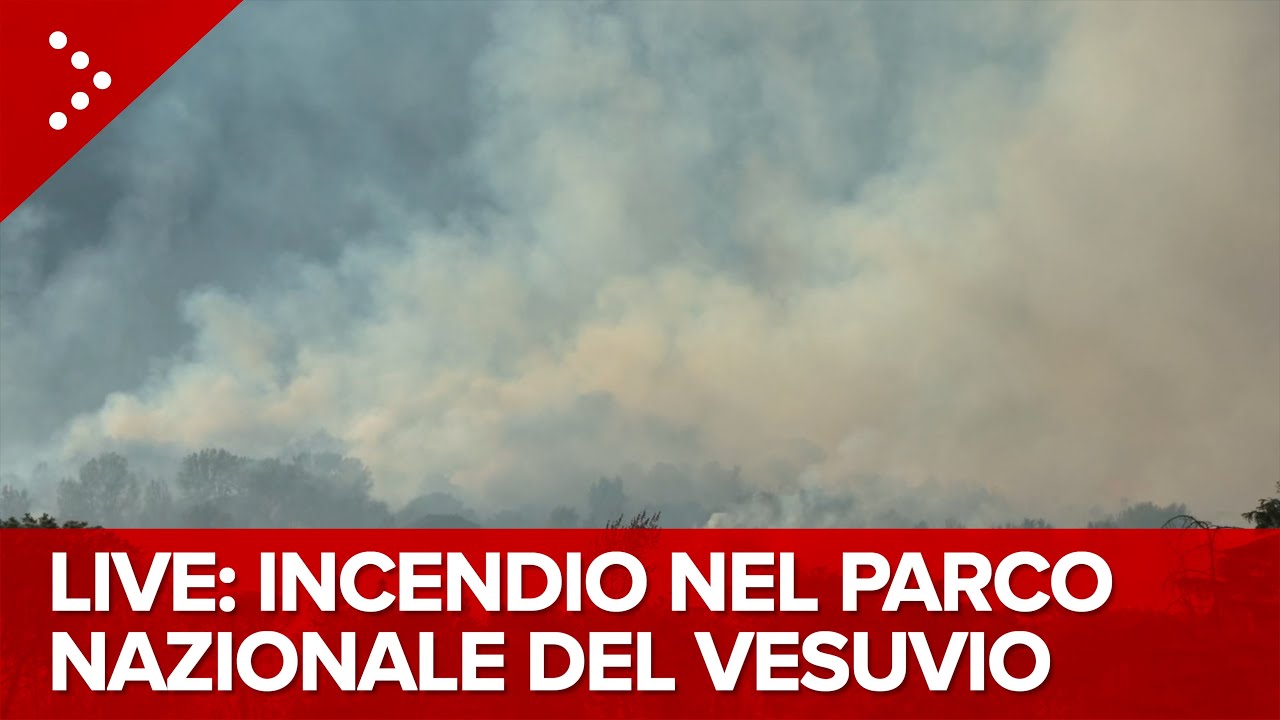 LIVE Incendio in corso nel Parco Nazionale del Vesuvio, a fuoco la pineta di Terzigno: diretta video