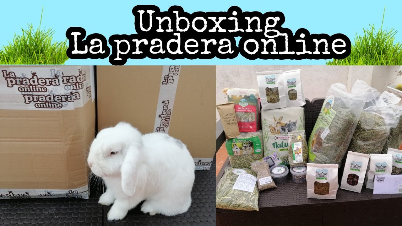 Unboxing 