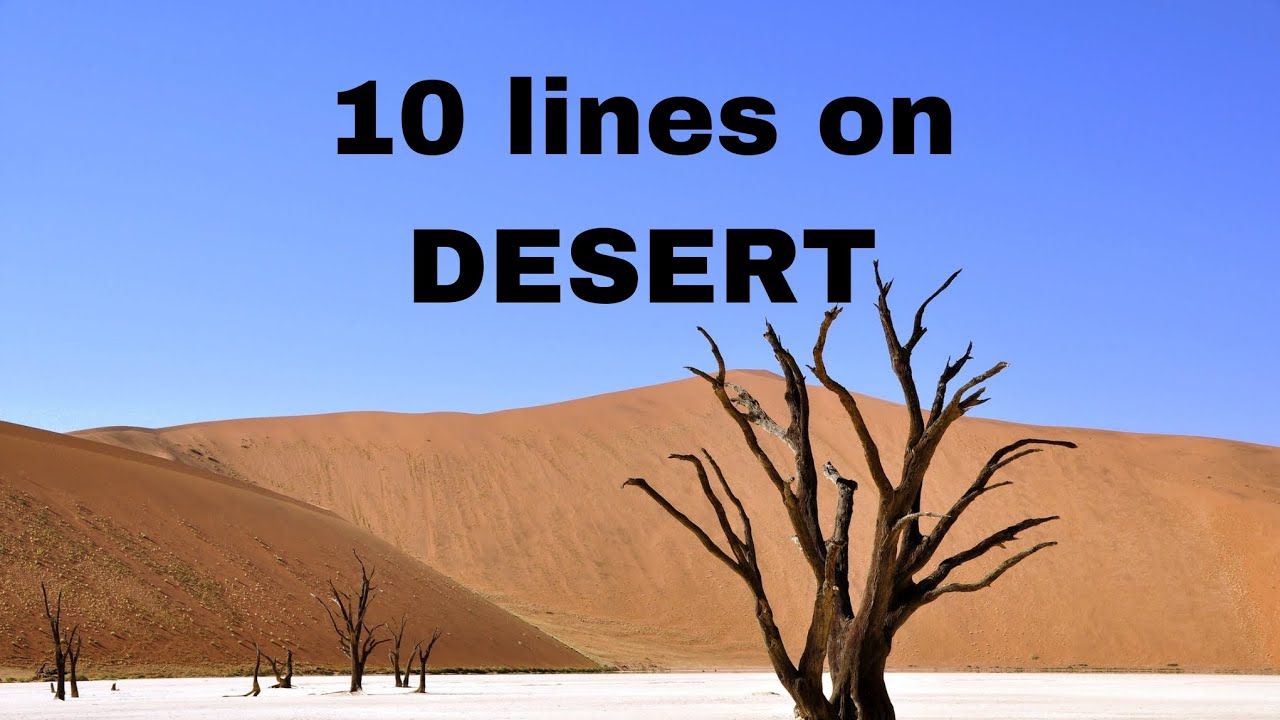 essay on desert/desert essay/10 lines on desert