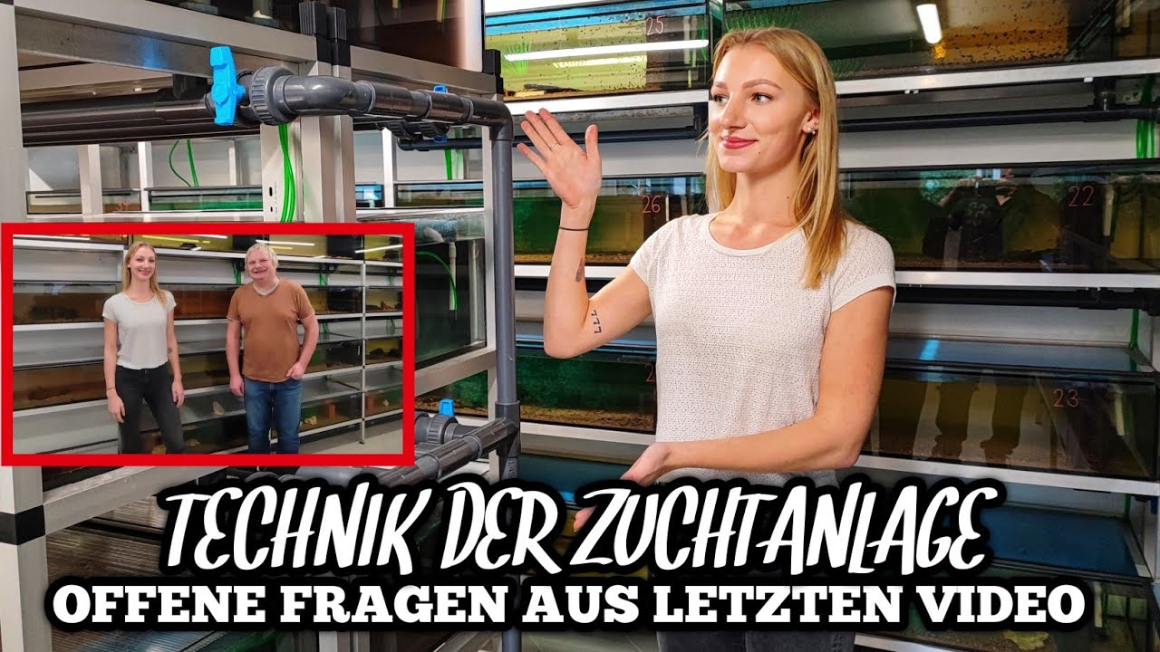 TECHNIK der ZIERFISCH - ZUCHTANLAGE  & Antworten auf eure Kommentare