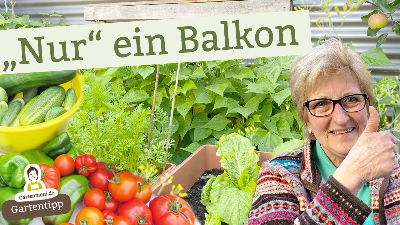 Verwandle deinen Balkon zum Selbstversorger Balkon! Dieses Obst und Gemüse kannst du anbauen