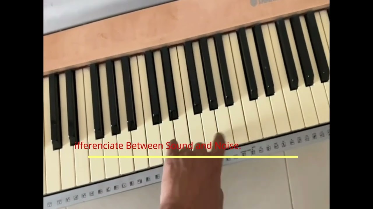 Yamaha Portable Grand Piano DGX 620 Keys Testing | Mux Sound