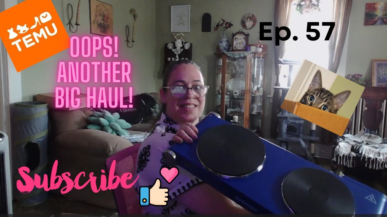 OOPS! I did it again with a TEMU HAUL!!!! | Ep 57