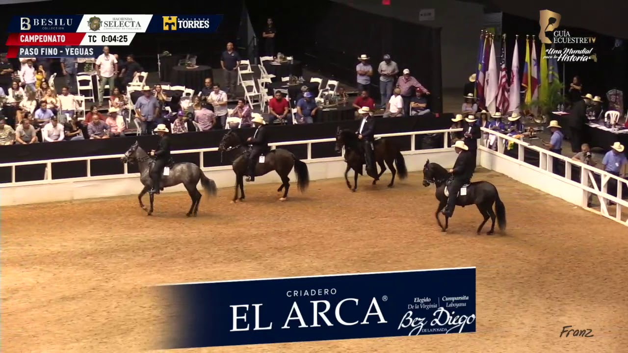 XIV Mundial CAMPEONATO YEGUAS PASO FINO