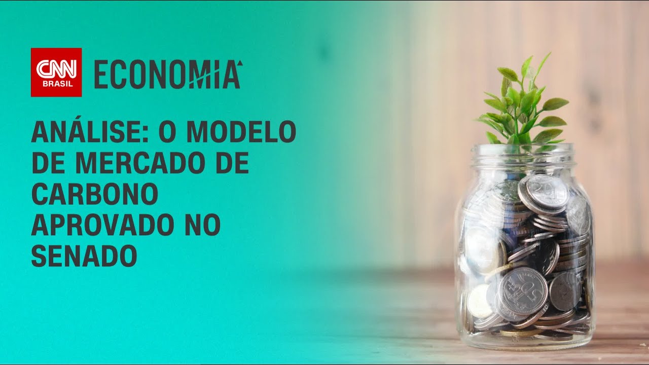 Análise: O modelo de mercado de carbono aprovado no Senado | WW