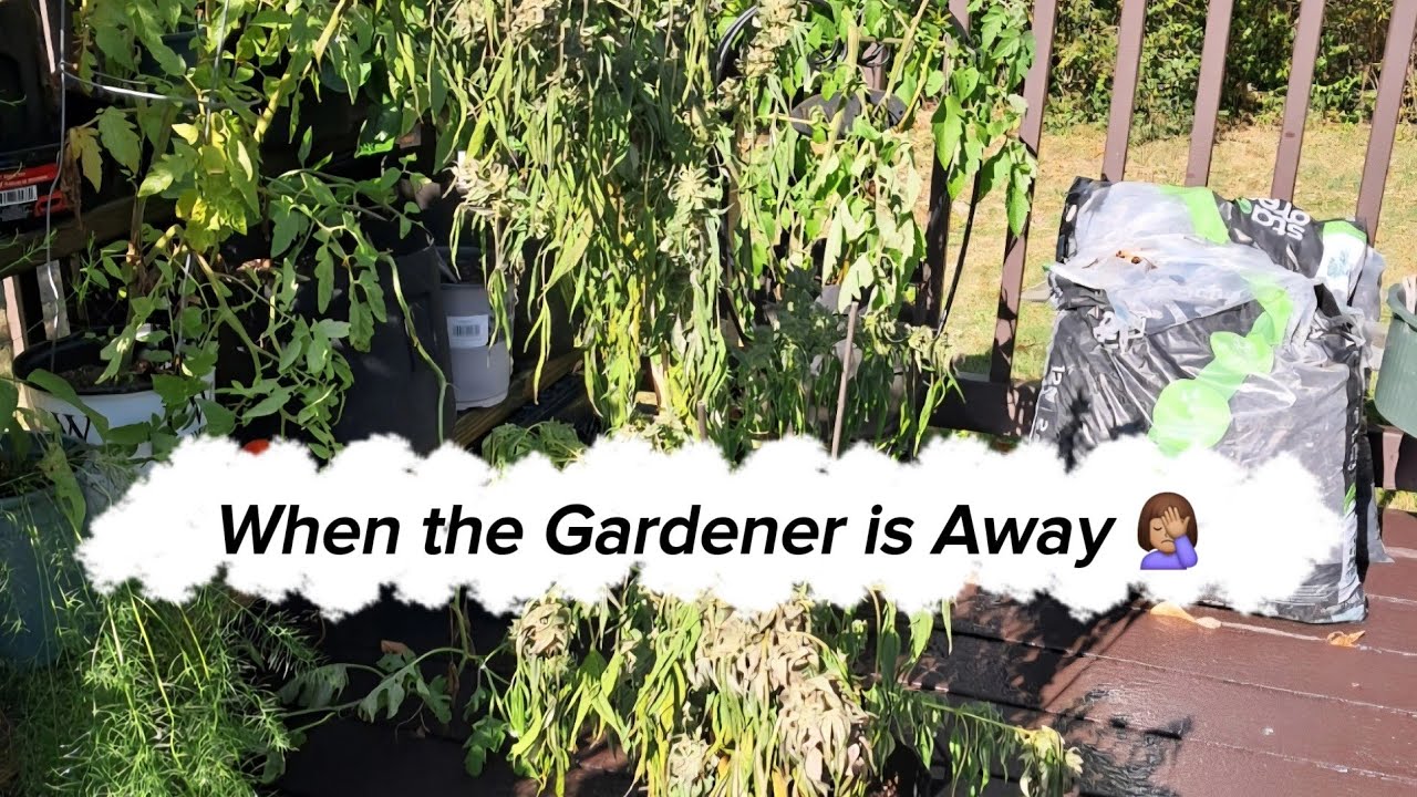 S3:E18 - When the Gardener is Away... 🤦🏽&zwj;♀️