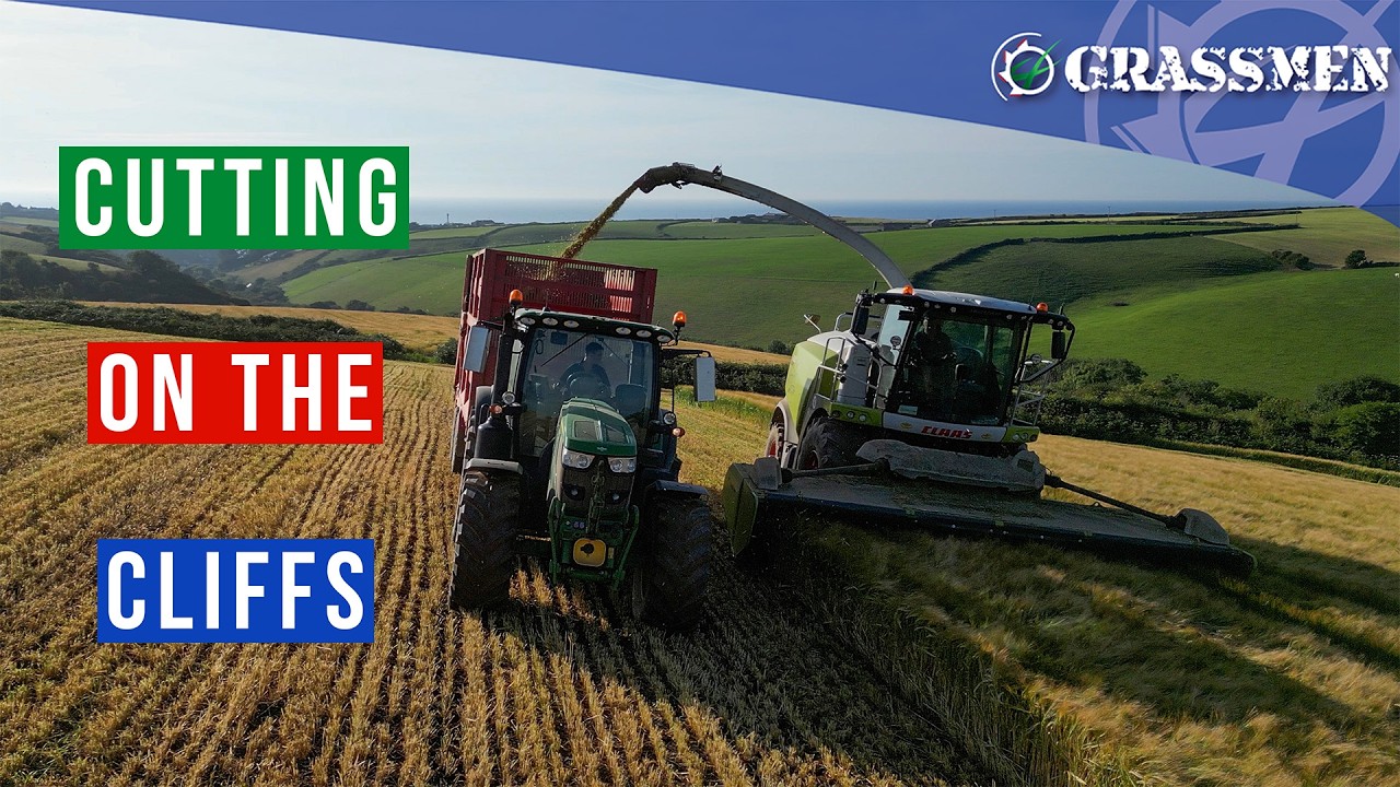 Whole lot of Wholecrop