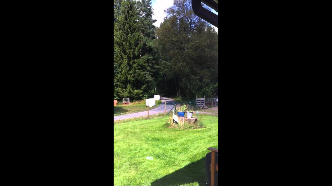 SNAPPHANERALLY 2012 (15)